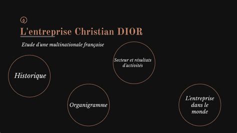 finalité de l'entreprise dior|christian dior maison.